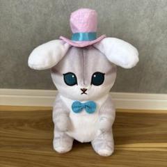 mofusand×サンリオキャラクターズ BIGぬいぐるみ　シナモロール　キティ mofusand×サンリオキャラクターズ BIGぬいぐるみ2 モフサンド