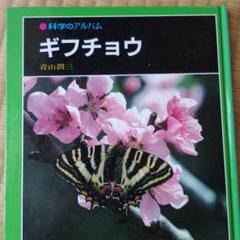 2025年最新】ギフチョウの人気アイテム - メルカリ