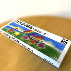 サクラ　コンテクレパス　12色セットS 画材　美術のサムネイル