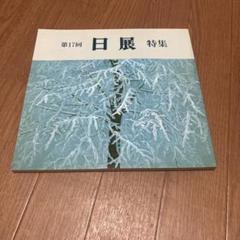 日展作品集38冊、日展アートガイド5冊、日展作品鑑賞の手引き2冊 2025年最新】日展の人気アイテム - メルカリ