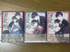 蜜愛婚 ～極上御曹司とのお見合い事情～ 全3巻【シラカワイチ/白石さよ】