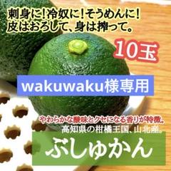 みかん様♡専用ページ wakuwaku様専用❤️高知県産 ぶしゅかん 17-20玉 酢みかん