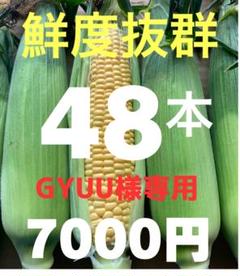 7/7発送　愛知産とうもろこし、スイートコーン　24本セット 7/9発送 愛知産とうもろこし、スイートコーン 24本セット - メルカリ