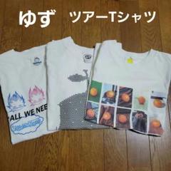 ゆず ライブTシャツ10枚＋タオル2枚 ゆず ライブTシャツ 2013 YUZU - メルカリ