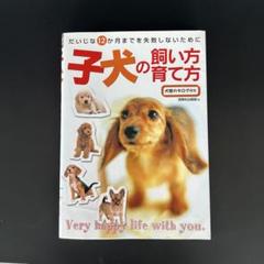 子犬の飼い方・育て方