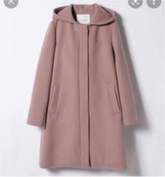 最も優遇 ニャンコロモチ様専用 新品⭐︎ANAYI アナイ ダブルビーバー ジャケット・アウター