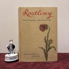 L809 洋書古書 1906年発行雰囲気たっぷりアンティーク植物図鑑 2025年最新】アンティーク植物図鑑の人気アイテム - メルカリ