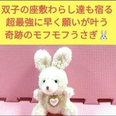 縁起物】座敷わらしさんが宿る くまちゃん ぬいぐるみ 人形