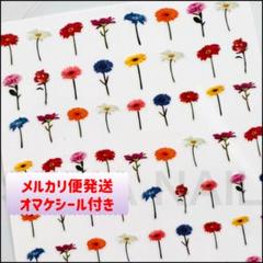 nail ネイルシール ステッカー フラワー ガーベラ【N246】のサムネイル
