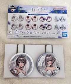 白銀ノエル 缶バッジ 48個セット アニメイト しらけん ホロライブ しらけん 缶バッジ 白銀ノエル - メルカリ