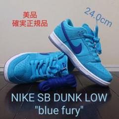 NIKE SB DUNK LOW "blue fury"