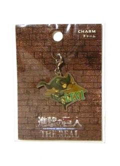 進撃の巨人 USJ 限定 チャームセット 全10個入り アクリルチャーム USJ 限定 進撃の巨人 チャーム コレクション ジャン usj ユニバ