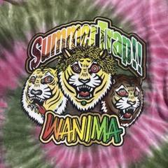 WANIMA・KENTA柄・ロンT・Lサイズ 激レア WANIMA ロンT Lサイズ 即購入OK - メルカリ