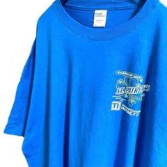 ポートアンドカンパニーport &company Tシャツ 水色　3XL