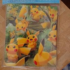 ポケモンカードゲーム コレクションファイル ピカチュウの森
