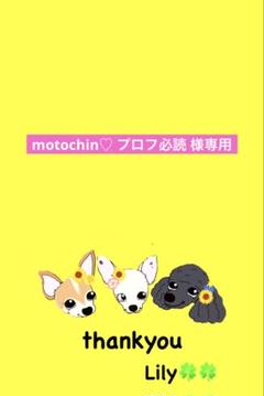 motochin♡ プロフ必読 様専用 ꒡̈⃝Lily꒡̈⃝犬服ハンドメイド