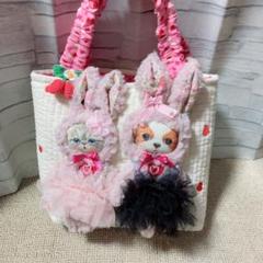 牡*❁様 コヤンイサムチョン♡うさ着ぐるみオッドアイちゃん