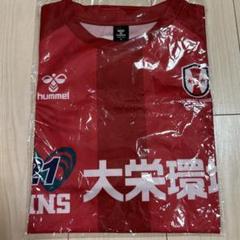 【まとめ売り】INAC神戸レオネッサ 田中陽子 ユニホーム2着＋グッズ まとめ売り】INAC神戸レオネッサ 田中陽子 ユニホーム2着＋グッズ