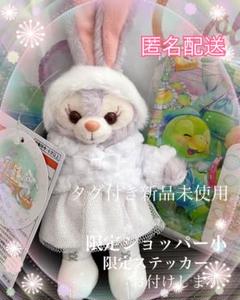 【ぬいぐるみバッジ・終売品】ホワイト ウィンタータイム ワンダーズ ステラルー