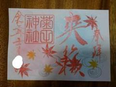 千葉 津田沼 菊田神社 11月 限定 御朱印 紅葉
