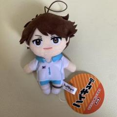 2025年最新】及川徹 ぬいぐるみの人気アイテム - メルカリ