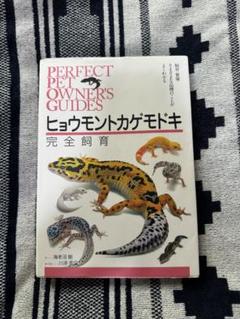 2025年最新】ヒョウモントカゲモドキ飼育の人気アイテム - メルカリ