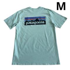 SP18 Patagonia ロゴ Tシャツ M ミントブルー 水色 デカロゴ