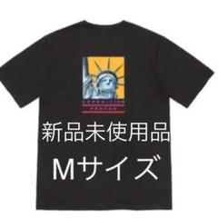 Supreme The North Face 女神tee 黒 M tシャツ