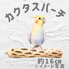 鳥用品　止まり木　カクタス　スケルトン　パーチ　中細長めNo.134 鳥用品 止まり木 カクタス スケルトン パーチ 中細 No.530