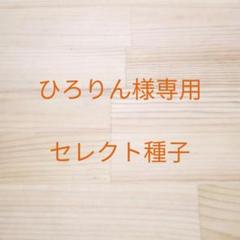 スプラウト種子まとめ買い10袋セット