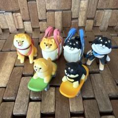 しばさんぽ　ガチャセット
