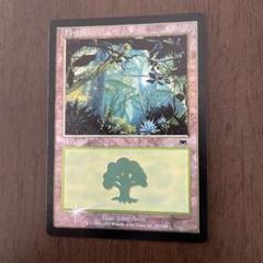 MTG オンスロート　山　foil 英語18枚　値下げ m70132104804_1.jpg?1722638829