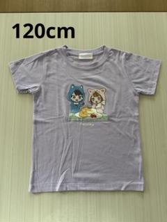 未使用　TIROPINO Tシャツ　人気　ちろぴの 女の子　半袖　120cm