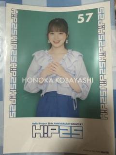 小林萌花クリアファイルまとめ売りバラ売り不可 小林萌花クリアファイルまとめ売りバラ売り不可