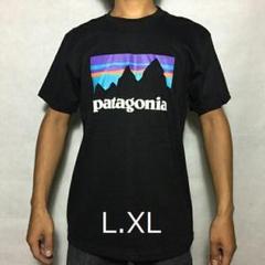 Lサイズ 黒 パタゴニアTシャツ ベストセラー かわいい フロントロゴE