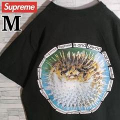 【超希少】シュプリーム ☆バックロゴ Tシャツ ビッグロゴ Blowfish 黒