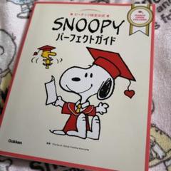 PEANUTS検定アクリルスタンド 10体セット Snoopy Japan - ／ 📢グッズ追加情報！ ＼ ピーナッツ日本公式