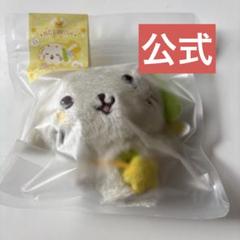 NCTWISH リク WISHDOLL ぬいぐるみ MD Steady - メルカリ