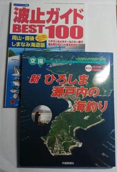 売れ筋がひ新作！ 空撮新ひろしま瀬戸内の海釣り 波止ガイドベスト100岡山・備後 趣味・スポーツ・実用