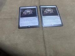 宝石の睡蓮 英語版 2枚セットで割引き。 - メルカリ
