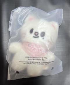 StrayKids SKZOO 10cm バンザイ ぬいぐるみ ヒョンジン skzoo ジニレット 10cm バンザイ ヒョンジンマグネット - メルカリ