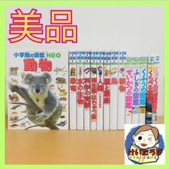 Q67小学館の図鑑NEO 14冊　動物　恐竜　星　絵本 セット まとめ売り 1歳 小学館の図鑑NEO〔新版〕 恐竜 DVDつき』監修・執筆／冨田