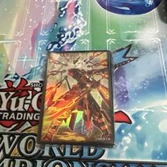 遊戯王 閃刀姫カガリ アジアスリーブ 70枚 中国城市巡回賽 新品未開封 遊戯王 閃刀姫カガリ カードスリーブ70枚未開封 - メルカリ