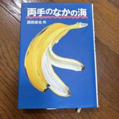 両手のなかの海 著者直筆サイン入り‼️