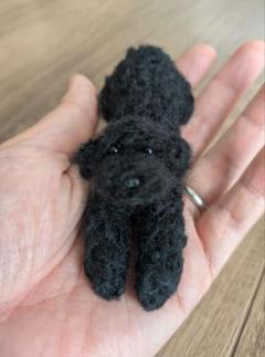 手乗りわんこ　トイプードル　全身　ふせ
