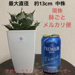 2025年最新】スーパーチタノタの人気アイテム - メルカリ