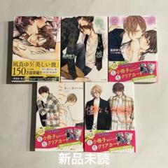美しい彼1〜4 番外編　シリーズ5冊