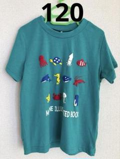 ク*ム様 【新品タグ付き】海の生き物　Tシャツ　120cm