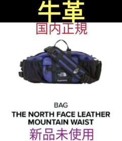 【完売希少】Supreme The North Face Waist Bagのサムネイル