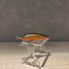 ramblefish_rf-31083